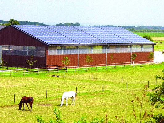 hangar agricole couvert de panneaux solaires