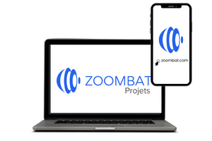 ZOOMBAT Projets