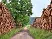 Un marché du bois qui s'annonce moins favorable en 2023