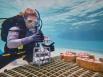 L’IA et la technologie de fabrication d'Autodesk au secours des récifs coralliens