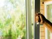 Habitat sain : comment optimiser l’aération sans faire entrer les nuisibles ?