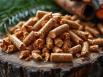 Pellets Solutions + : un granulé premium 100 % résineux du Sud-Ouest