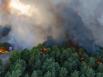 Forêt de Fontainebleau : le feu serait parti d'un chantier, deux ouvriers poursuivis