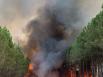 Incendies : la forêt française brûle, le gouvernement promet enfin un "grand plan"
