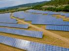 Solairedirect va financer de nouvaux parcs solaires