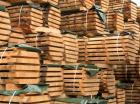 La filière bois est mal pilotée en France selon le Sénat