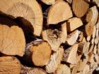 La filière bois va bénéficier de fonds supplémentaires