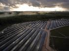 EDF EN va construire deux centrales solaires en Egypte avec un partenaire local
