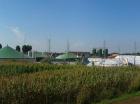 Hydrogène et biogaz: la filière gaz fait valoir ses innovations
