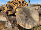 Export de grumes de chêne vers la Chine : la saignée continue selon la FNB