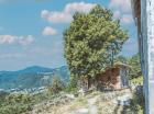 Construire en bois au plus près de la ressource