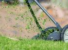 Faut-il ramasser l’herbe après la tonte ou la laisser sur place ?