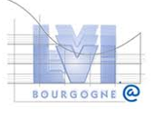 LVI BOURGOGNE logo