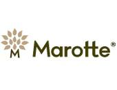 MAROTTE logo