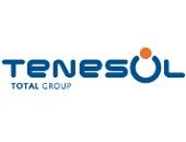 TENESOL logo