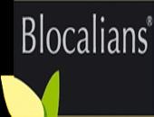 BLOCALIANS logo