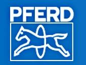 PFERD RUGGEBERG FRANCE logo