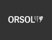 ORSOL SA logo