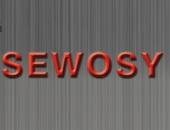 SEWOSY logo