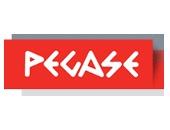 PEGASE FRANCE logo