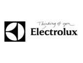 ELECTROLUX HOME PRODUCTS FRANCE logo