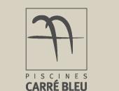 CARRE  BLEU INTERNATIONAL  CBI logo