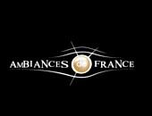 AMBIANCE DE FRANCE logo