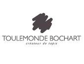 TOULEMONDE BOCHART logo