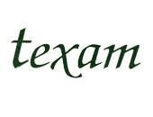 TEXAM logo