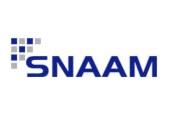 SNAAM logo