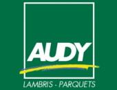 AUDY logo