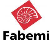 FABEMI logo