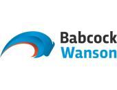 BABCOCK WANSON logo