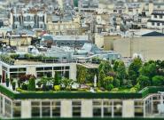 Toit-terrasse végétalisé : quelles précautions pour l'étanchéité ?