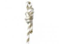 Corde QSFEPI13/01