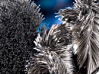 Brosses industrielles