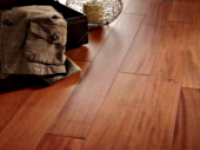 ACAJOU VERNI 12X90