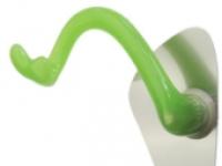 ULNA INITIAL