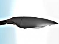 Cytise