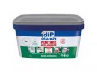 DIP étanch peinture anti-humidité