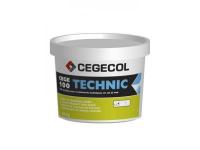 CEGE 100 TECHNIC