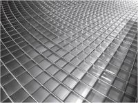 CAILLEBOTIS RAYONNANT