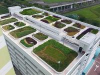 RENOLIT ALKORPLAN Green