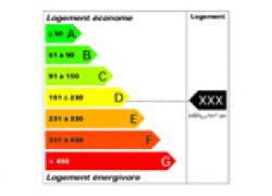 Affichage obligatoire de la performance énergétique des biens immobiliers