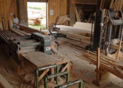 Conjoncture: la filière bois reprend espoir
