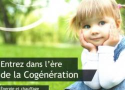 La micro-cogénération arrive sur le marché français