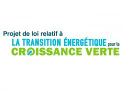 Transition énergétique : réactions des Verts et des Centristes