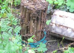 Termites : mission éradication à Thouars