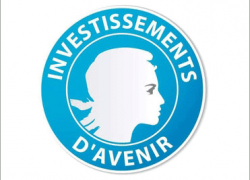 Investissements d'avenir 3: priorité à l'enseignement et la recherche