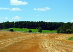 La Confédération paysanne contre l'artificialisation des terres